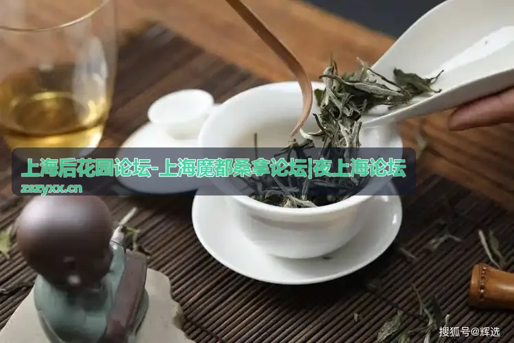 夜上海论坛 休闲地图栏目封面